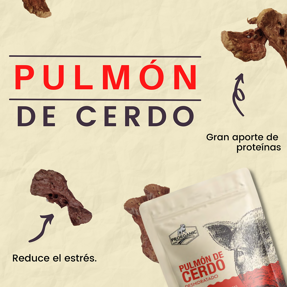 Miniatura: Pulmón de Cerdo Deshidratado - 30 gr