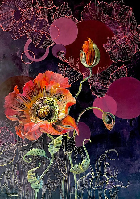 Papaver somniferum_n.jpg