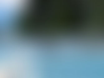 La fuerza de un sueño: Amelia Sofía, ejemplo de disciplina en el patinaje nacional