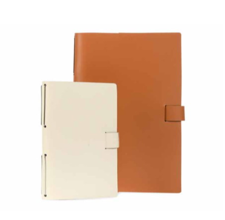 Elaine journals