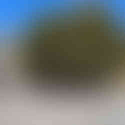 Tour du Coin : Plouguerneau