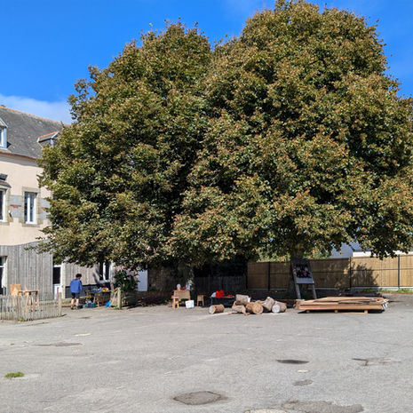 Tour du Coin : Plouguerneau
