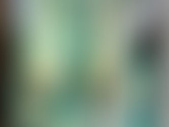 ペイント皮で、ワンピーオーダー頂きました。6着目です。同じ形です。