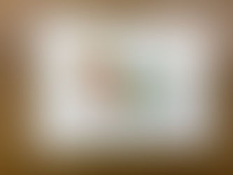 シカ皮のスマホ、メガネ拭き