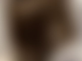 ヌートリアのマフラー