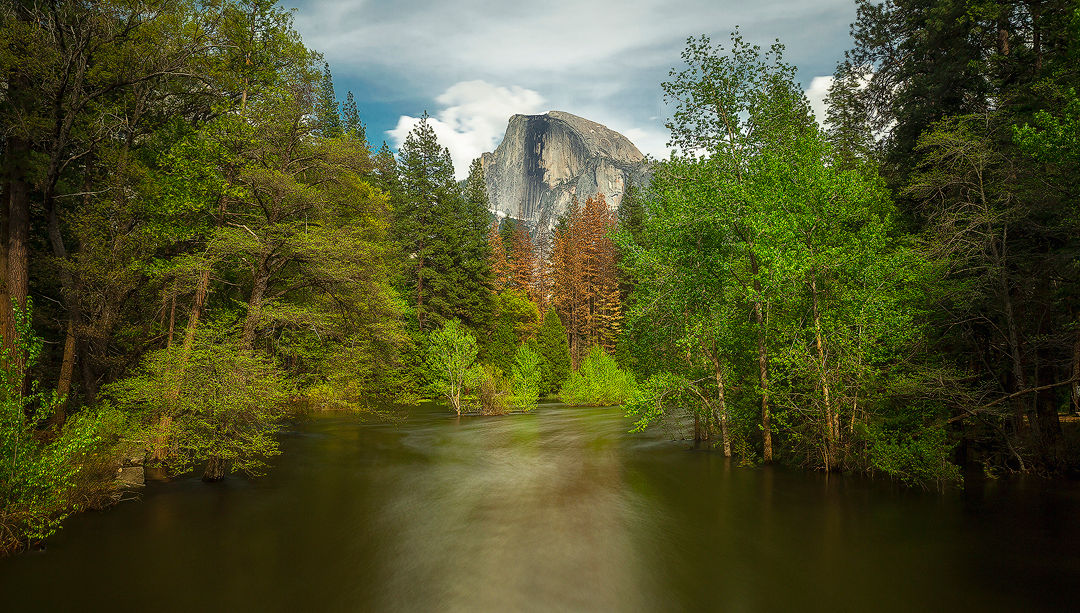 Springtime in Yosemite