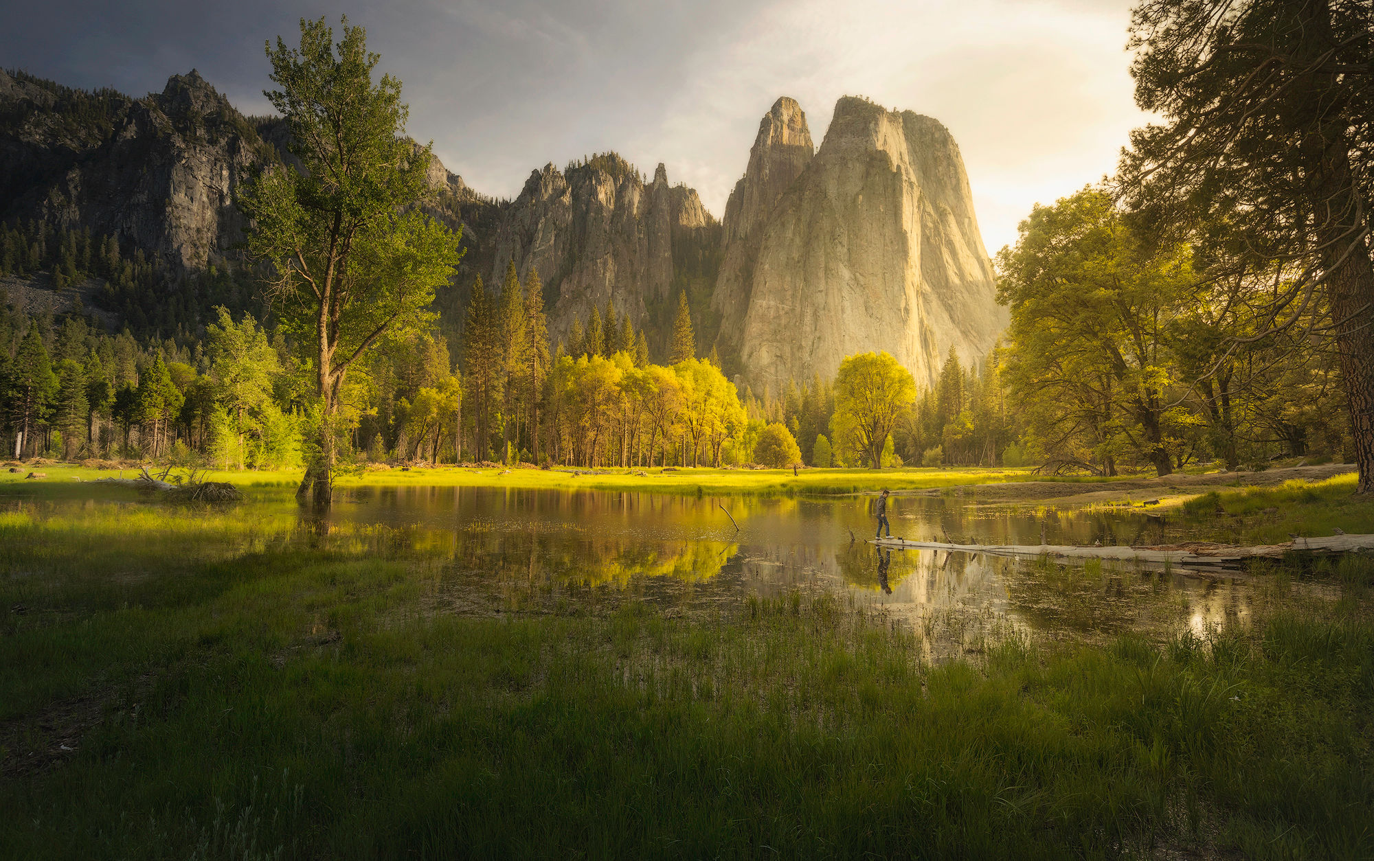 Cathedral Bells - Matted Print