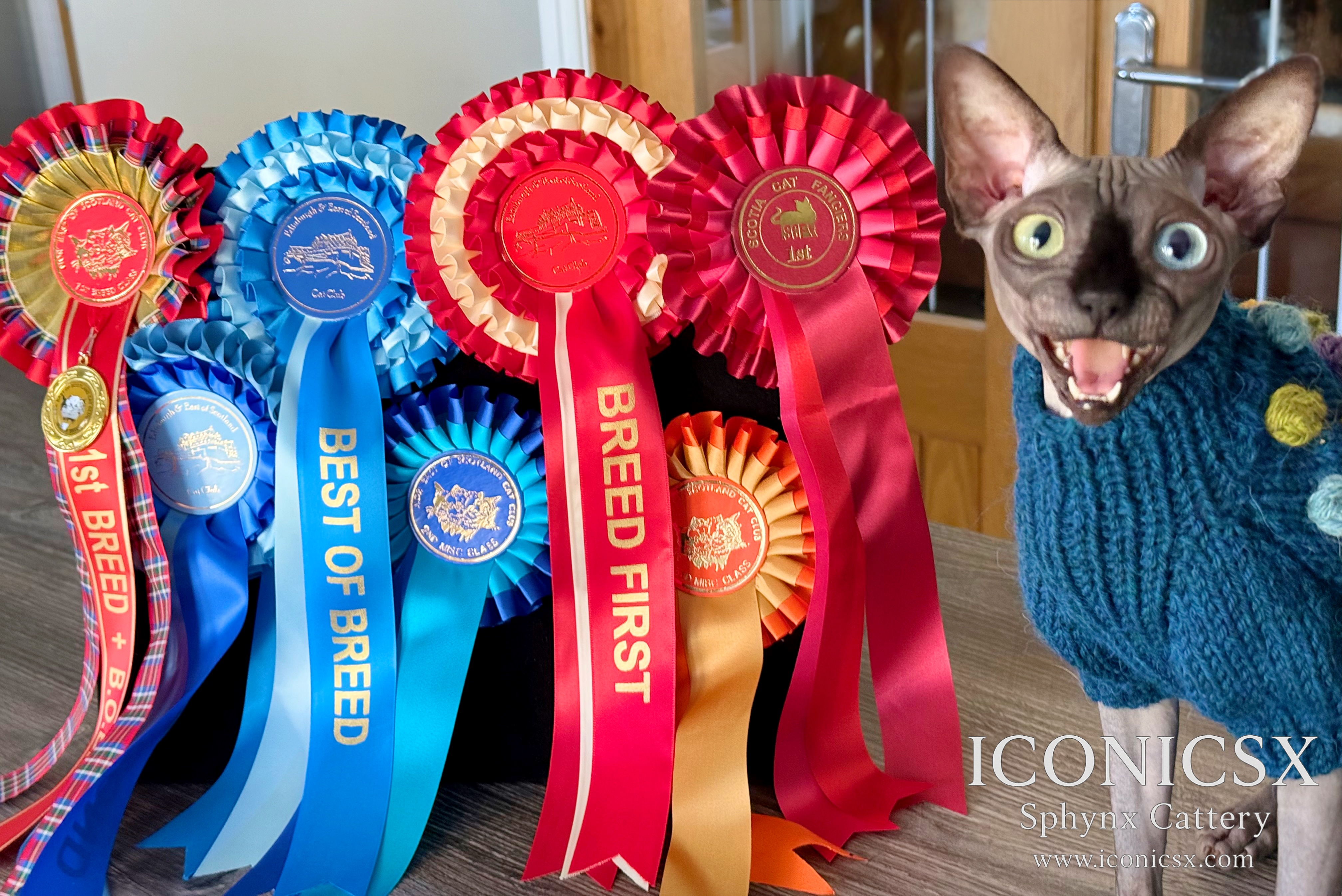 値下げ！Bumped Skinny Cats 超低テンション弦 ラスト1！！Bumped Skinny Cats 超低テンション弦