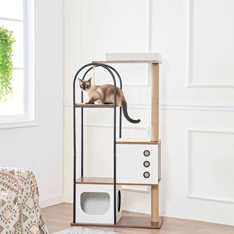 Thumbnail: Cat Climbing Frame, Cat Tree, Modern Cat Tower, Multi-storey Cat Apartment