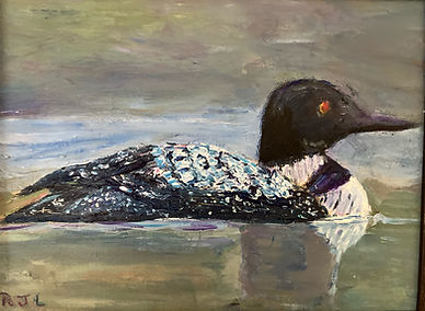 Loon.JPEG