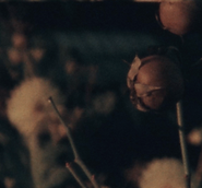 Screenshot 2026-03-04 at 15.51.24.png