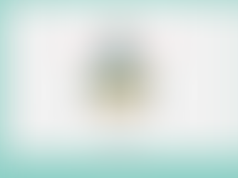 LevelUp Artic Initial R Flashcards