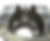 IMG_3485_edited.png