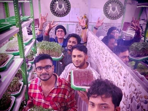 Microgreens Success Stories in India