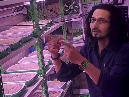 Become a Microgreens Urban Farmer Like Me