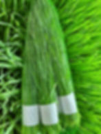 Thumbnail: Best suppliers, Best Retailers and best Wholesalers of Wheatgrass in Bangalore is MU GREENS AND GREENS