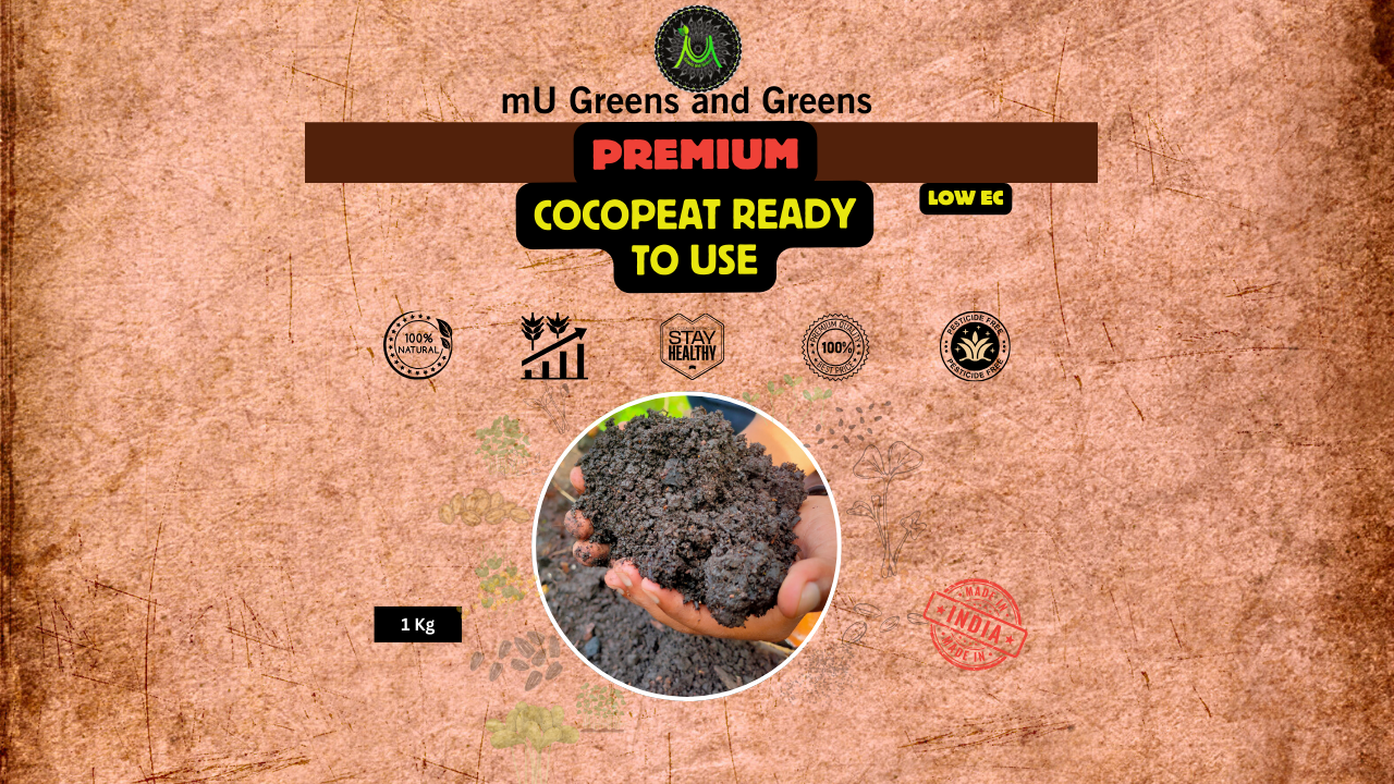 Premium enriched low EC cocopeat ready to use for microgreens in Bangalore.
