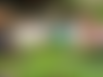 What Are Microgreens? Benefits, Nutrition & Bangalore Guide