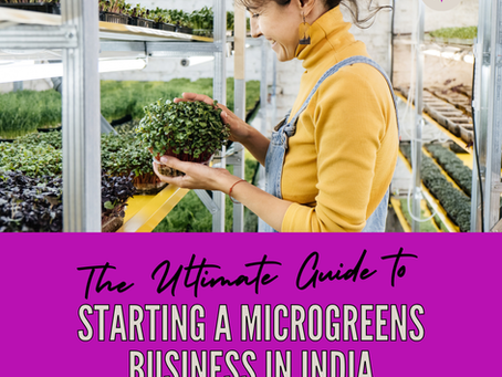The Ultimate Guide to Starting a Microgreens Business in India