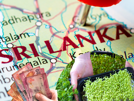 Best Microgreens Training in India for Sri Lanka: The Ultimate Guide for Aspiring Farmers