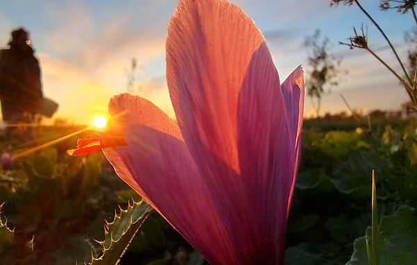 IMG_20241022_180054267_HDR copy.jpg