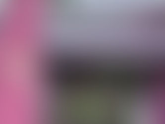 Açaíteria Borges e Lima será reinaugurada no próximo dia 30\11 em Penedo