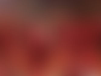 Arraiá Maria Bunita celebra 18 anos com festa até o amanhecer em Penedo