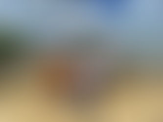 IMA e parceiros promovem ações ambientais em Penedo