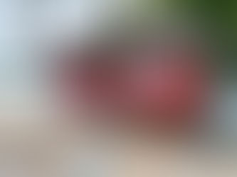 Prefeitura de Penedo instala novos abrigos de ônibus na cidade