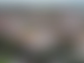 Penedo tem 6.736 empresas com registro ativo na Junta Comercial de Alagoas