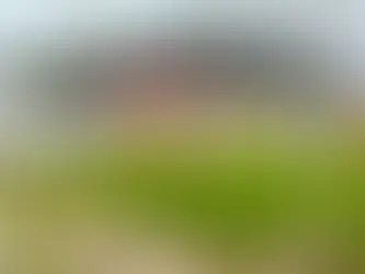 Prefeitura de Penedo lança edital para compra de alimentos da agricultura familiar que serão usados na alimentação escolar