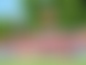 Penedense conquista título simbólico de Campeão do 1º turno do Alagoano da Série A