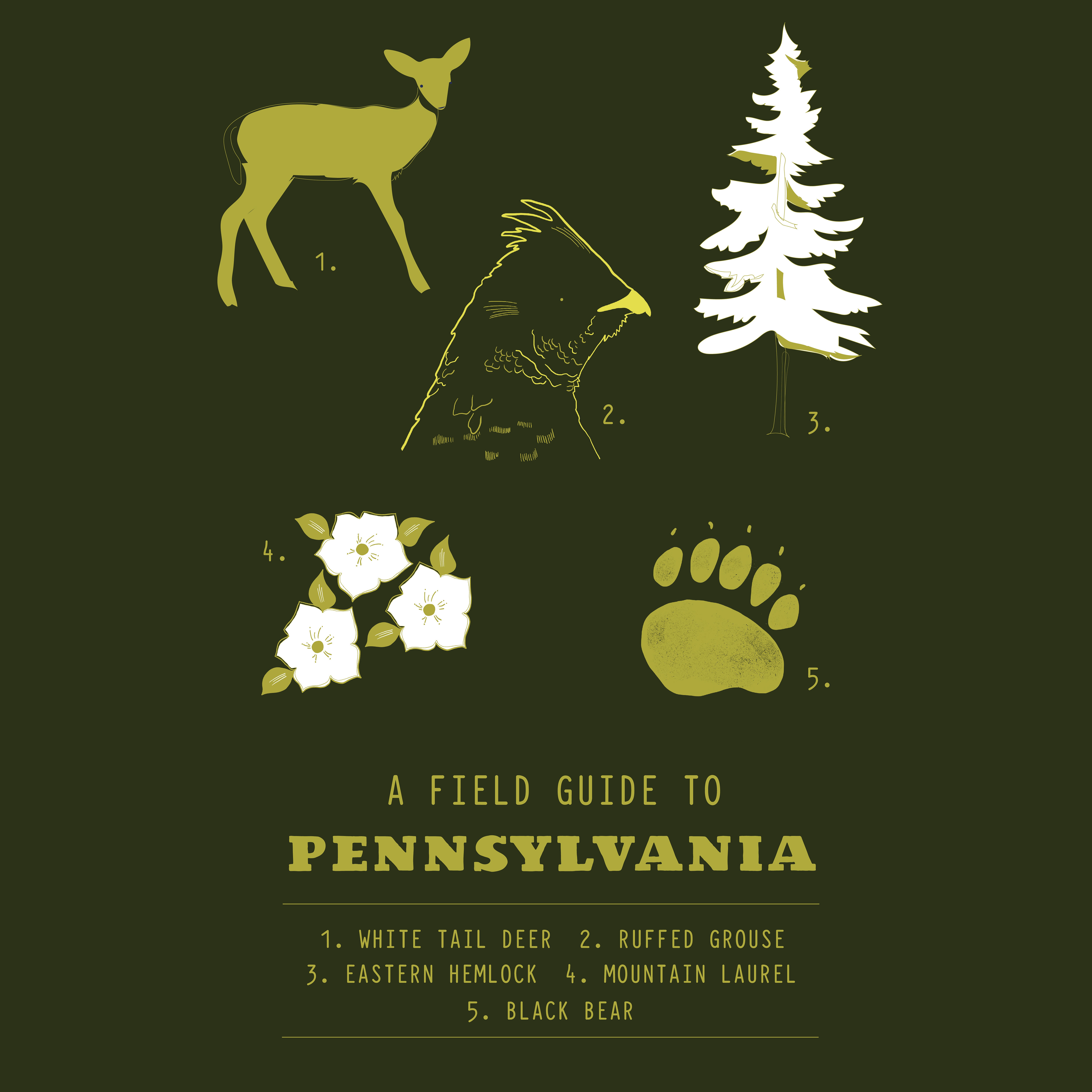 PA Field Guild Post Card