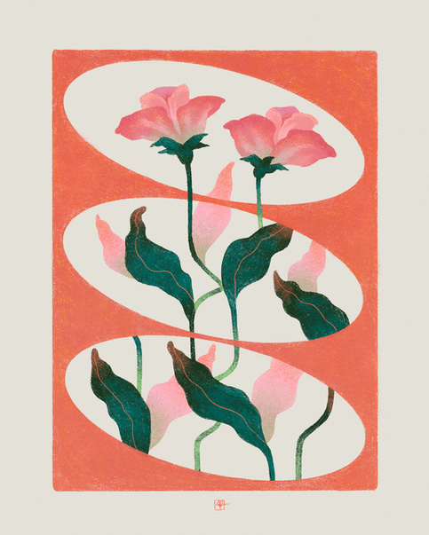 Illustrated poppies