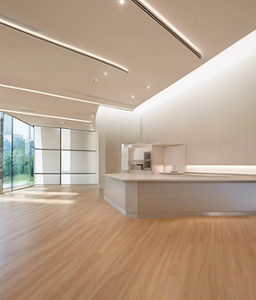 elegant interior commercial building.jpg