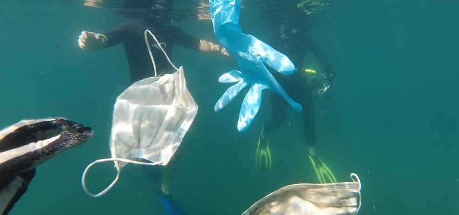 101468491_590824531546046_84669960923643