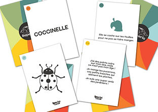Jeu de carte Reperio, pour découvrir les insectes