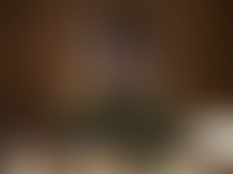 [lastyvesniin] Plasma (231218)