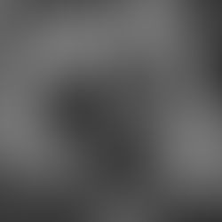 Black Wolf Blues: A Rock N' Roll Story