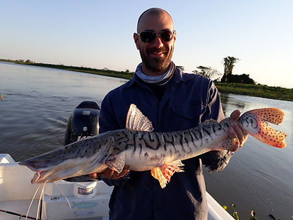Golden Dorado Fishing Argentina