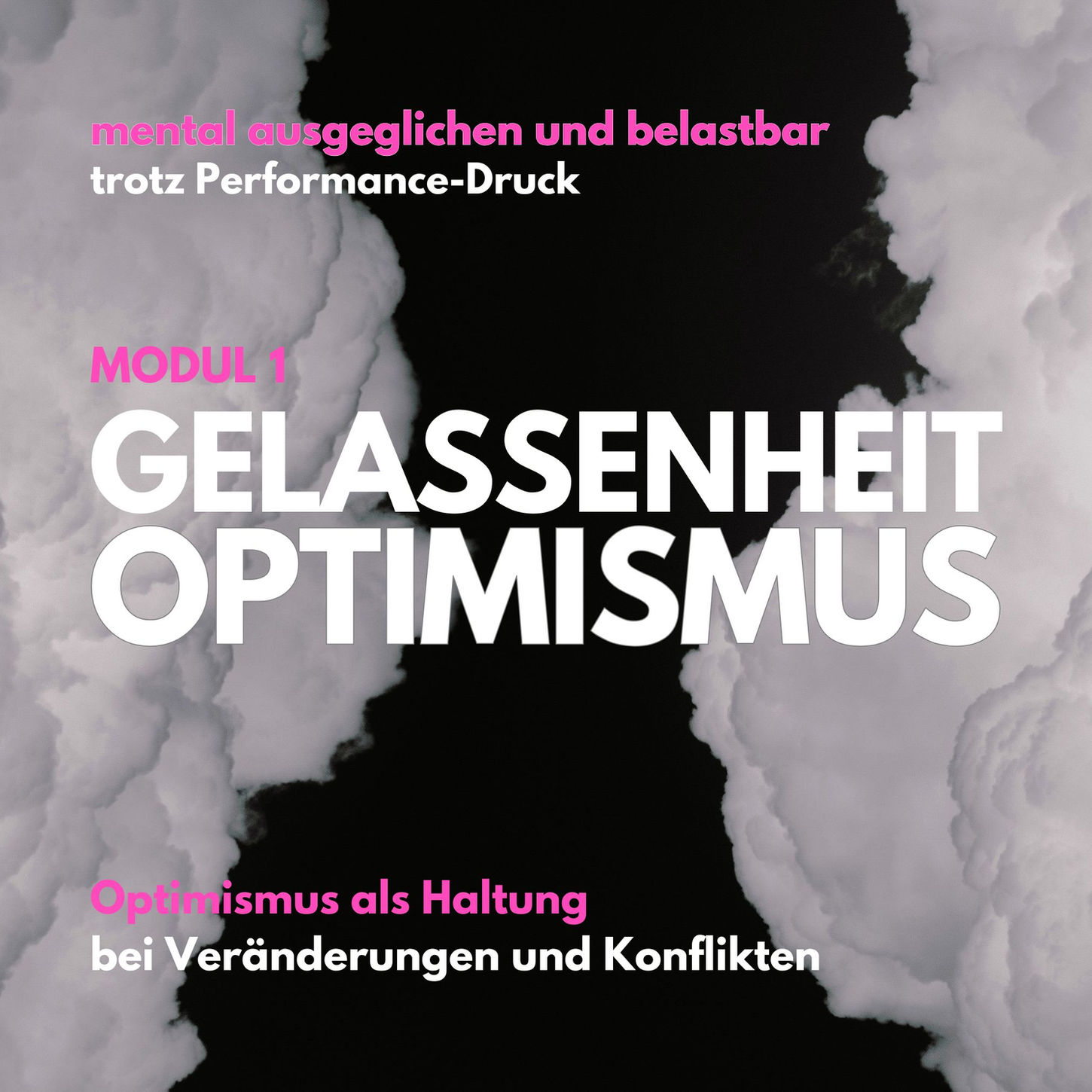 Modul 1: GELASSENHEIT und OPTIMISMUS: Mental ausgeglichen und belastbar, trotz Performance-Druck. 
Optimismus als Haltung bei Veränderungen und Konflikten. 