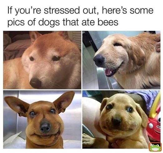 ree