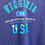 Thumbnail: T-shirt Virginia USA