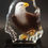 Thumbnail: Washington DC Bald Eagle Crystal