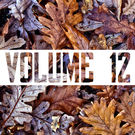 Carpet of fallen auntumnal oak leaves, in a diverse array of brown tones from caramel to ash-purple. White banner disects the middle horrizontally and reads "Volume 12"