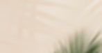 fresh-palm-leaves-beige_53876-95949_edited.jpg