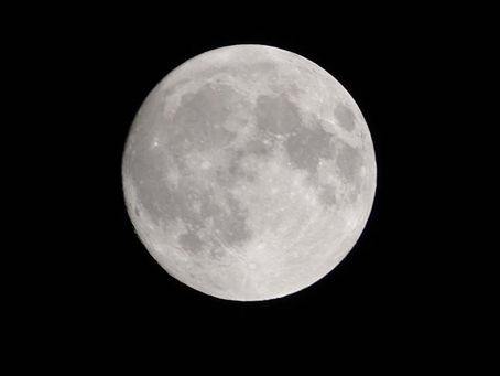 幸福な家庭はどれも似たようなものだが、不幸な家庭はいろいろな理由で不幸である（トルストイ）