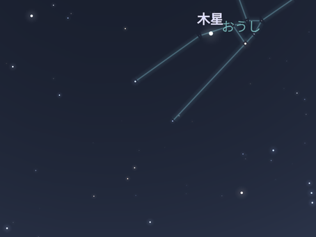 人は上を見ない