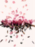 perfume-notes.jpg