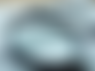 Entenda os custos da vigilância de marcas